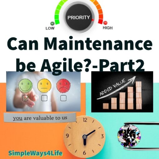Maintenance from the point of view of Agile principle 1
