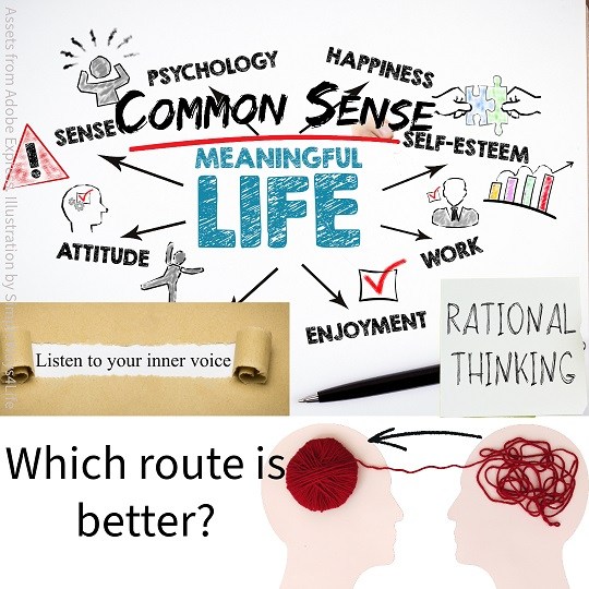 commonsense vs rationality which is better